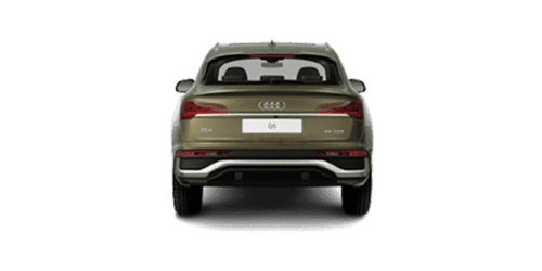 아우디_Q5_2024년형_스포트백 가솔린 2.0_45 TFSI Quattro Premium Sportback_color_ext_back_District Green Metallic.png